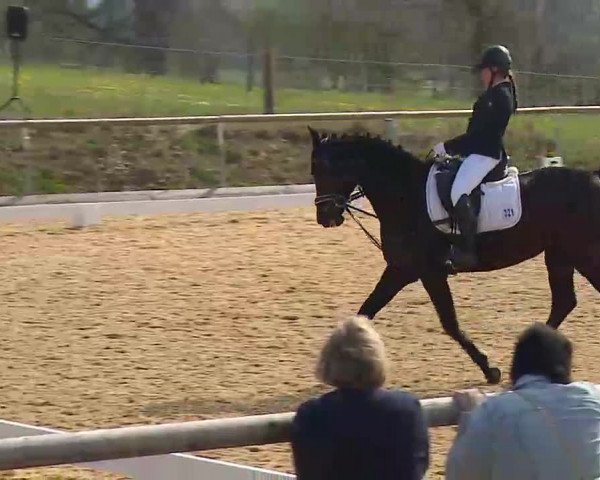Reitturnier Altentrüdingen/Mfr. 2022