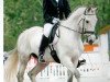 dressage horse Peridond (Trakehner, 2005, from Münchhausen)