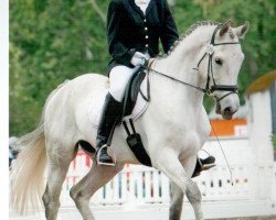 dressage horse Peridond (Trakehner, 2005, from Münchhausen)