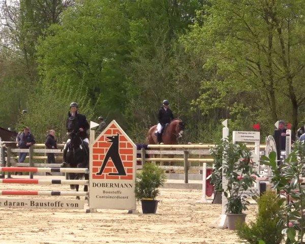 Reitturnier Nienberge 2022