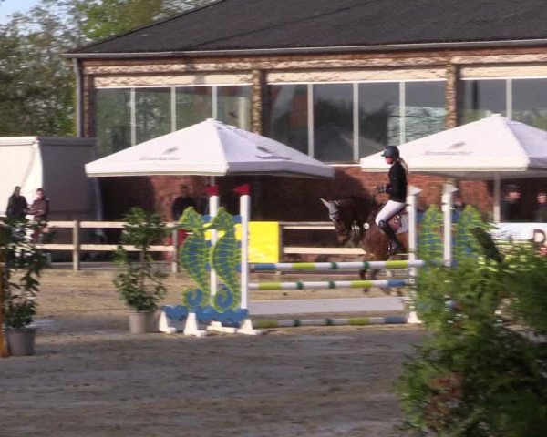 Reitturnier Nienberge 2022