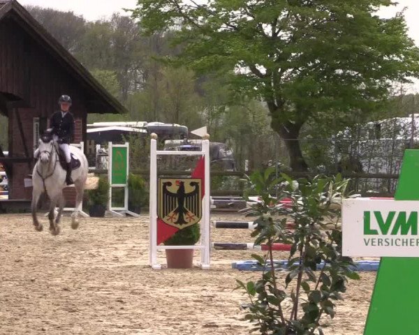 Reitturnier Nienberge 2022