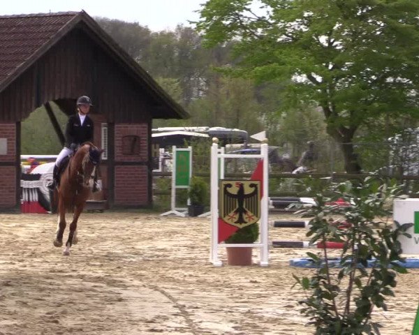 Reitturnier Nienberge 2022