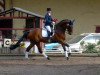 dressage horse Lagavulino (Oldenburg, 1998, from Landcapitol)