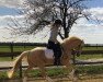 dressage horse Maxi King (Westphalian, 2018, from Milky Way)