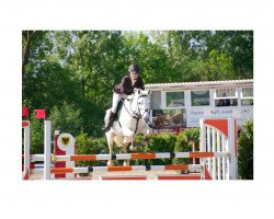 jumper Bonaparte (German Riding Pony, 2002, from Bazar ShA)