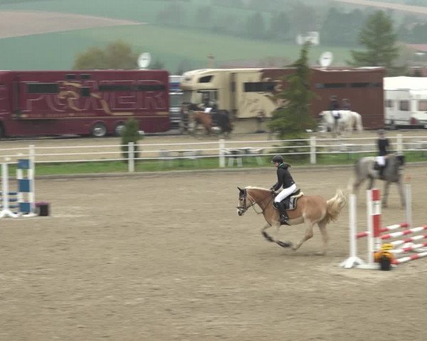 Reitturnier Ried am Riederberg 2022