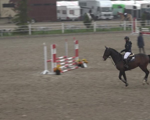 Reitturnier Ried am Riederberg 2022
