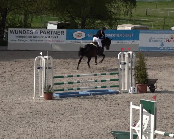 Reitturnier Monheim - Gut Blee 2022