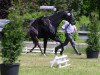 dressage horse Black Beauty Bella (Westphalian, 2013, from Bretton Woods)