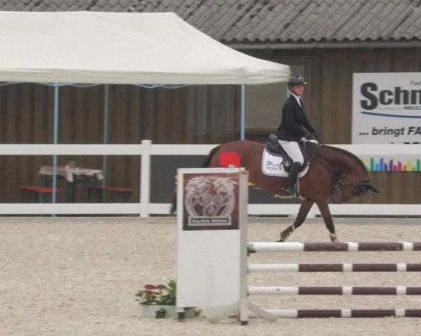 Springturnier Memmingen 2022