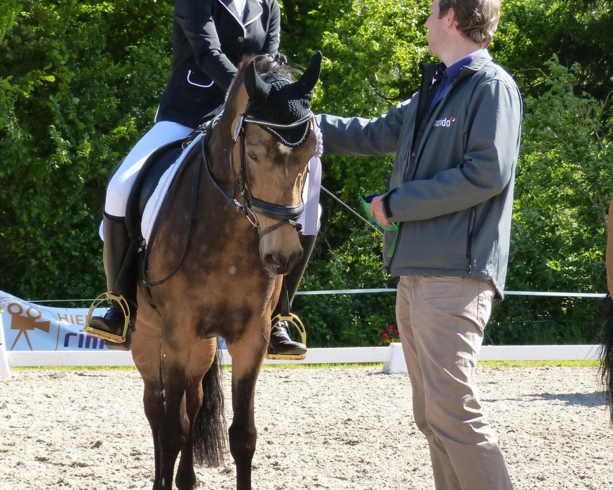 broodmare Challenge (German Riding Pony, 2006, from FS Champion de Luxe)
