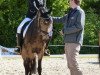 broodmare Challenge (German Riding Pony, 2006, from FS Champion de Luxe)