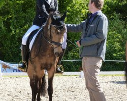 Zuchtstute Challenge (Deutsches Reitpony, 2006, von FS Champion de Luxe)