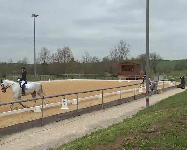 Reitturnier Altentrüdingen/Mfr. 2022