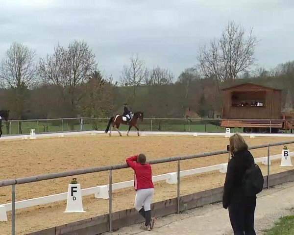 Reitturnier Altentrüdingen/Mfr. 2022