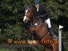 Springpferd Culcha-Candela R (Westfale, 2008, von Cornado NRW)