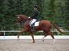 dressage horse Jever Fun (Oldenburg, 2006, from Jazz Time)