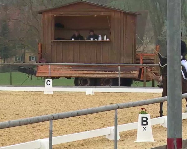 Reitturnier Altentrüdingen/Mfr. 2022