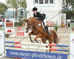 dressage horse Cliff B (Holsteiner, 1995, from Cor de la Bryère)