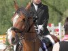 jumper Nonchalance (German Riding Pony, 2000, from Notre Beau)