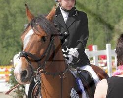 jumper Nonchalance (German Riding Pony, 2000, from Notre Beau)