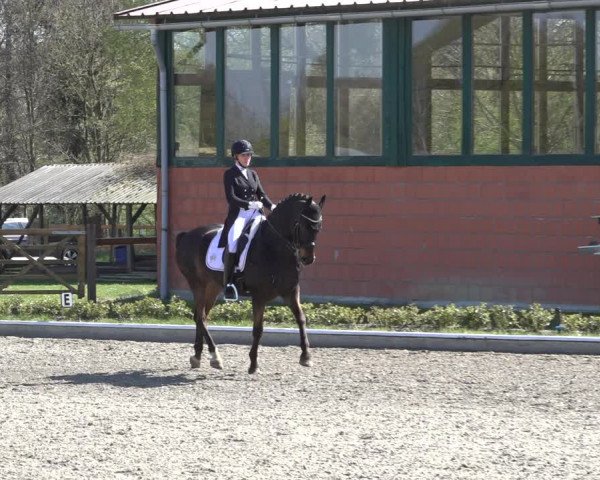 Reitturnier Schwanewede 2022