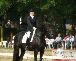 dressage horse Hellsingh SL (Hanoverian, 2006, from Hohenstein I)