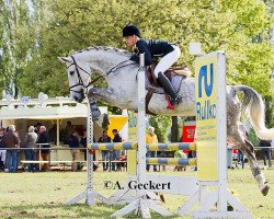 broodmare Cincia SC (Rhinelander, 2005, from Cassone)