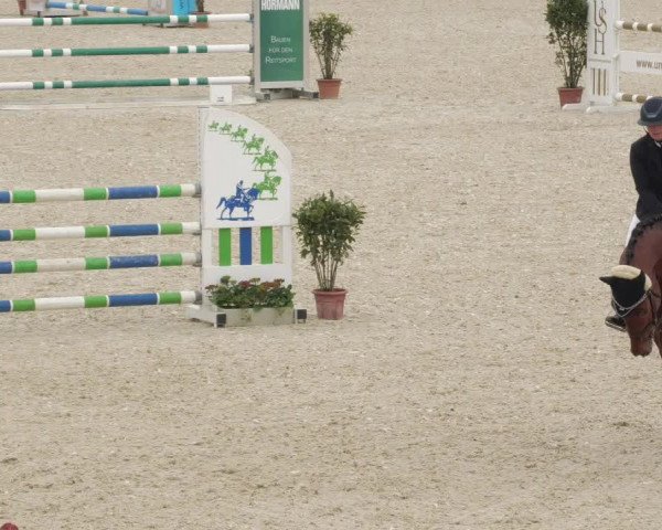 Springturnier Memmingen 2022