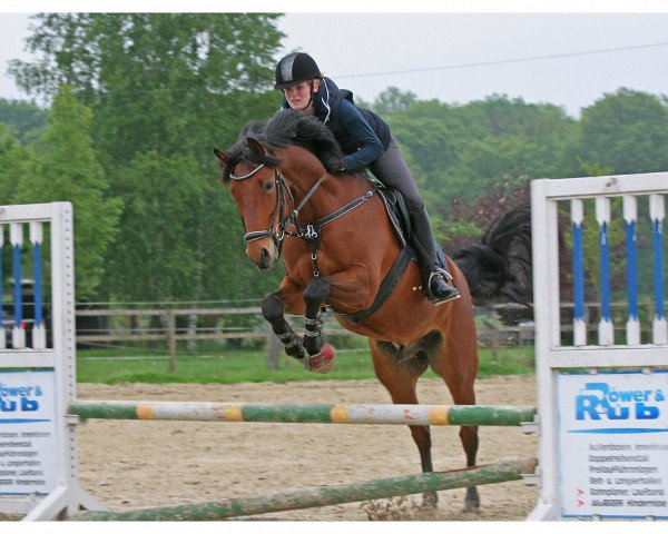 dressage horse Riviero (Rhinelander, 2004, from Riccione)