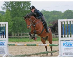 dressage horse Riviero (Rhinelander, 2004, from Riccione)