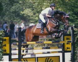 broodmare Ciara (Württemberger, 2002, from Centesimo I)