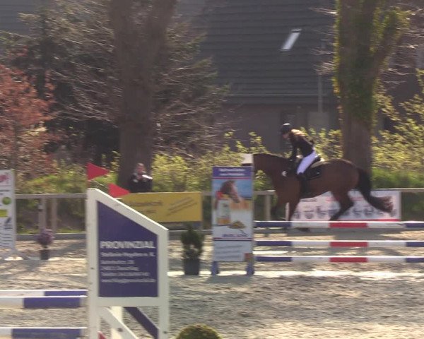 Reitturnier Kropp 2022