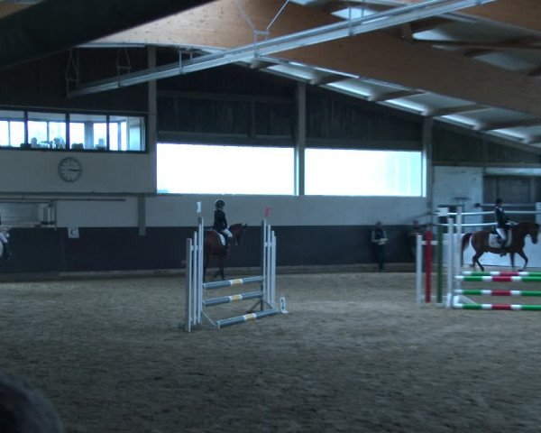 Pony- und Juniorenturnier Olfen-Vinnum 2022