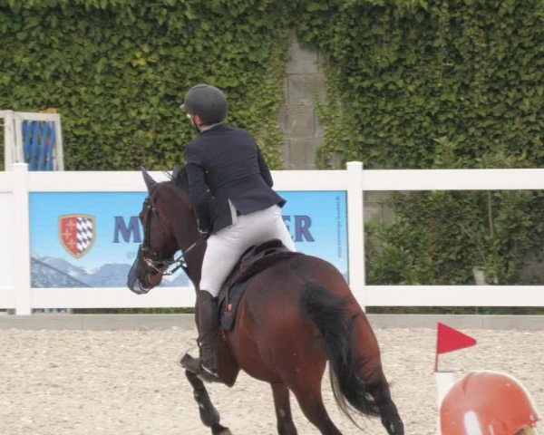 Springturnier Memmingen 2022