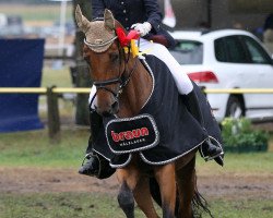 dressage horse Emilie la Jolie (Westphalian, 2005, from Ehrentusch)