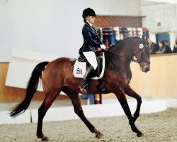 broodmare Finesse 311 (Westphalian, 2006, from Flovino)