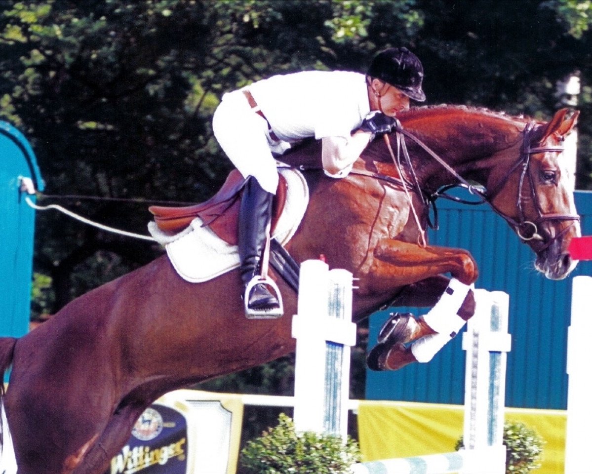 broodmare Collier Rubin ZD (Hanoverian, 2004, from Couleur Rubin)