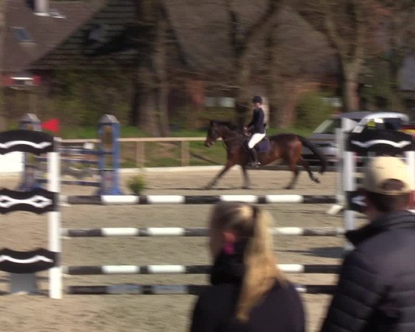 Reitturnier Kropp 2022
