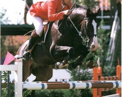 horse Rio Royale (Hanoverian, 1990, from Rio Branco)