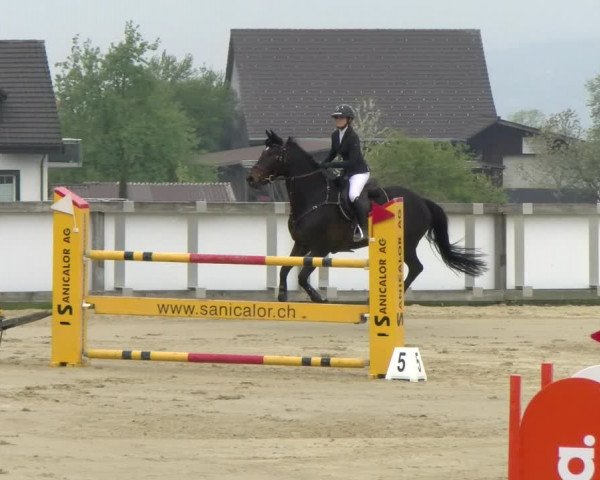 Reitturnier Wädenswil 2022