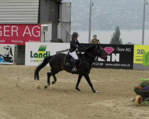 Reitturnier Wädenswil 2022