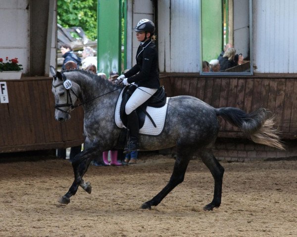 horse Petite Fleur 157 (Oldenburg show jumper, 2007, from Unbekannt)