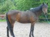 broodmare Fabienne (Rhinelander, 1992, from Fabelhaft)