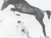 stallion Lagerfield (Holsteiner, 1986, from Lantaan)