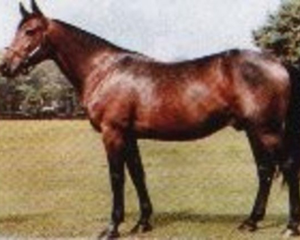stallion Bonefish 8971L (US) (American Trotter, 1972, from Nevele Pride 7308E (US))