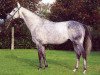 stallion Simon Du Desert xx (Thoroughbred, 1993, from Kaldoun xx)