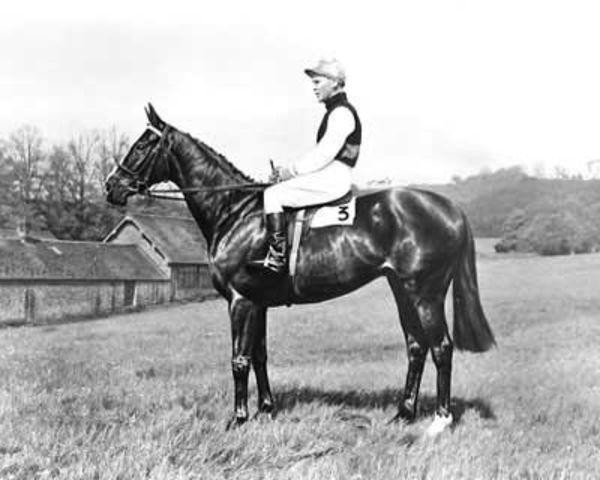 horse Magic Court xx (Thoroughbred, 1958, from Supreme Court xx)