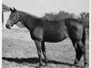 broodmare Baby League xx (Thoroughbred, 1935, from Bubbling Over xx)